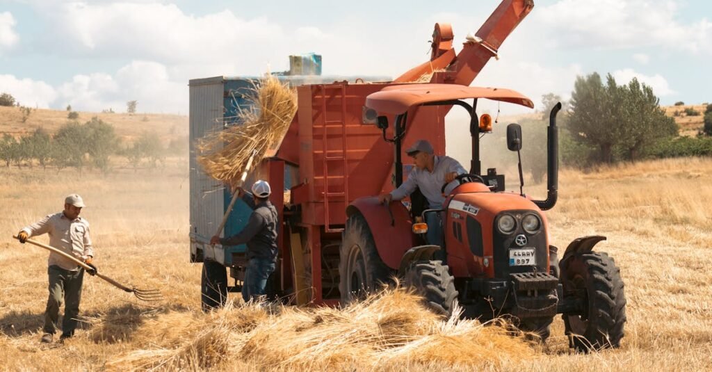 Men working on wheat harvest with a tractor in sunny rural Türkiye countryside.