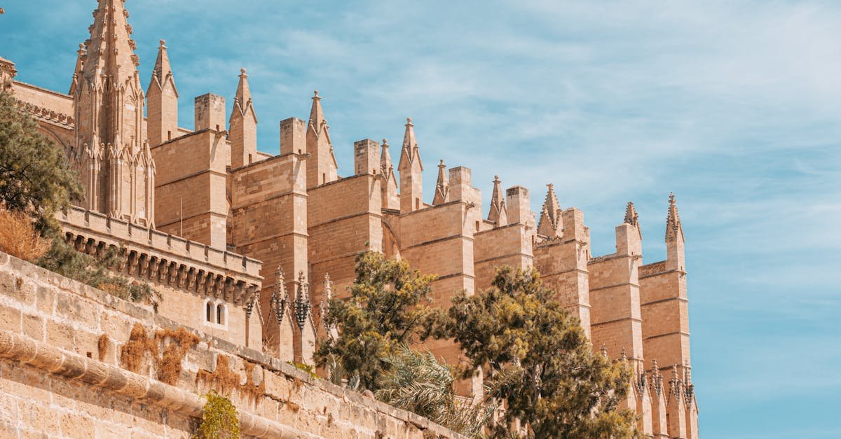 Explore the majestic Gothic architecture of La Seu Cathedral in Palma, Mallorca.