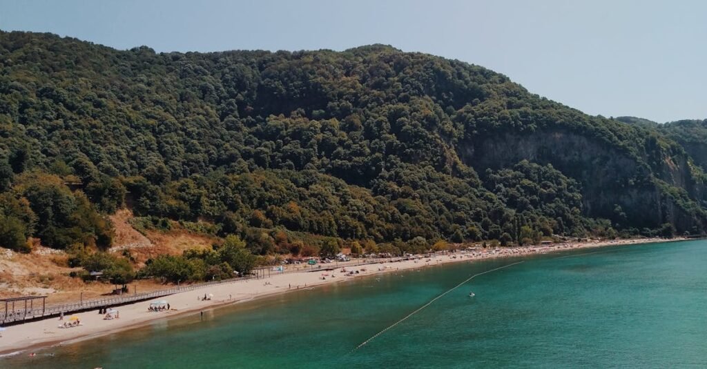 Aerial view of a picturesque beach with dense greenery in Bartın, Türkiye during summer.