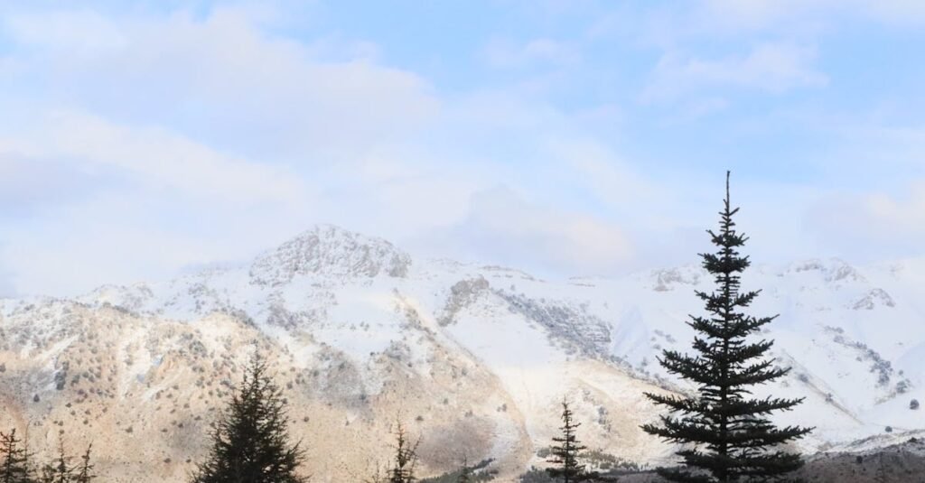 Scenic view of snowcapped mountains in Isparta, Türkiye with evergreen trees under a bright blue sky.