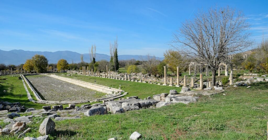 Explore the historic ruins of Aphrodisias under a clear blue sky in Aydın, Turkey.
