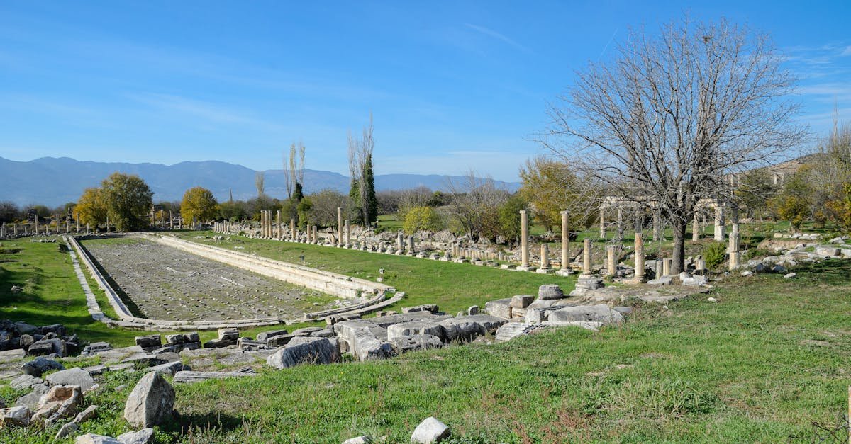 Explore the historic ruins of Aphrodisias under a clear blue sky in Aydın, Turkey.