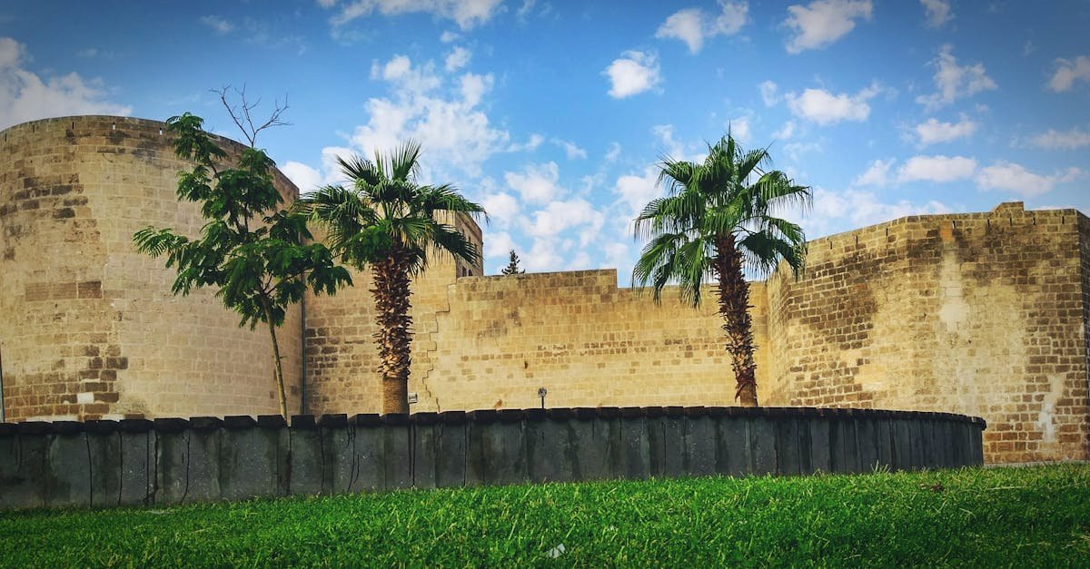 Historic fortress walls with palm trees under a blue sky in Şanlıurfa, Turkey.
