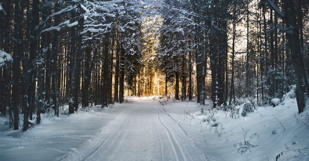 Stunning snowy path through a winter forest in Ebensee, Austria, with sunlight filtering through trees.