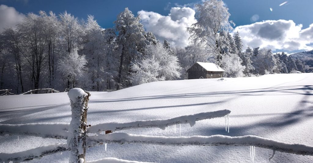 A tranquil snowy scene with a frosty fence and a cabin under bright winter skies in Bursa, Türkiye.