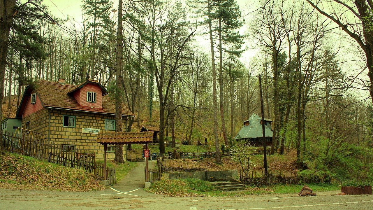 tuzla, bosnia, forest, picnic, nature, herzegovina, balkan, travel, destination, tourism, wood, landscape, yugoslavia, tuzla, tuzla, tuzla, tuzla, tuzla, yugoslavia