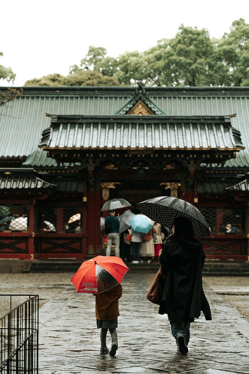 rain, tree, nature, temple, people