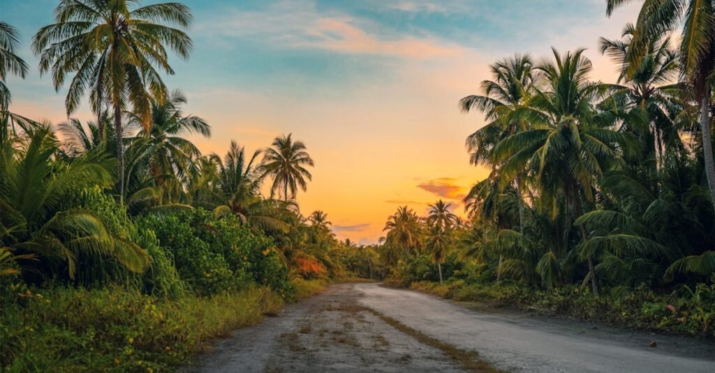 Serene tropical road in the Maldives with palm trees during sunset, emphasizing tranquility.
