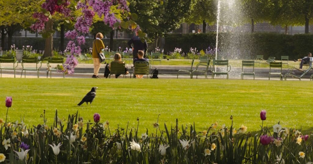 Experience the stunning spring bloom in a Paris park, featuring vibrant flowers and lush greenery.