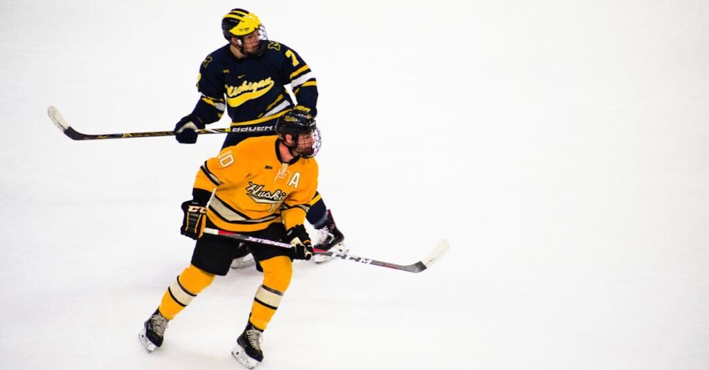 Two male ice hockey players in action on the rink, showcasing skill and teamwork.