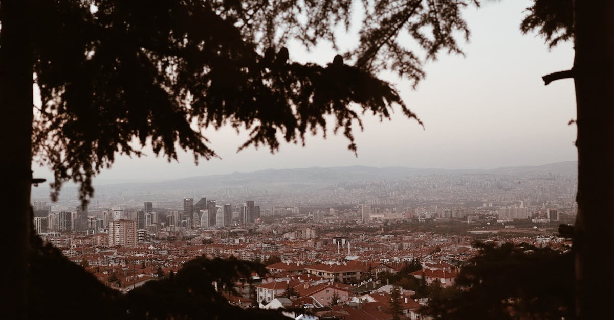 A scenic view of Ankara's skyline framed by trees, showcasing urban architecture.