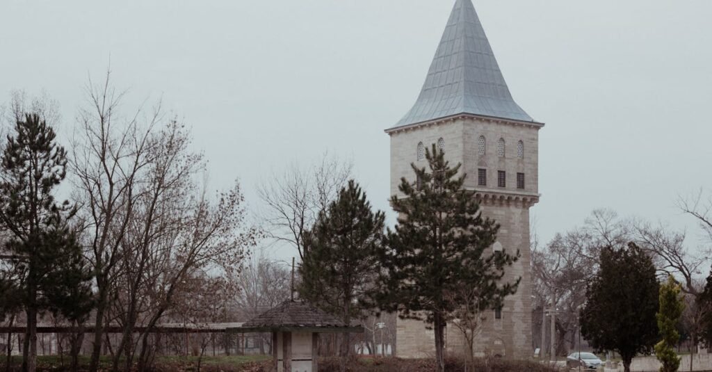 Serene winter scene of a historic tower in Edirne, Türkiye surrounded by trees.