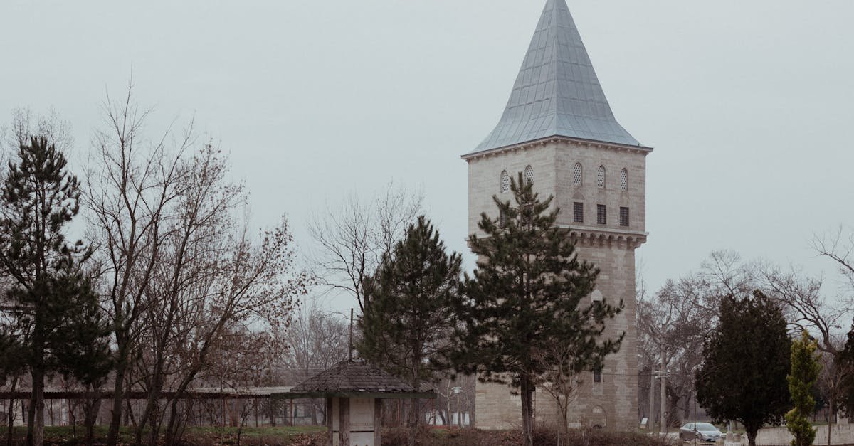 Serene winter scene of a historic tower in Edirne, Türkiye surrounded by trees.
