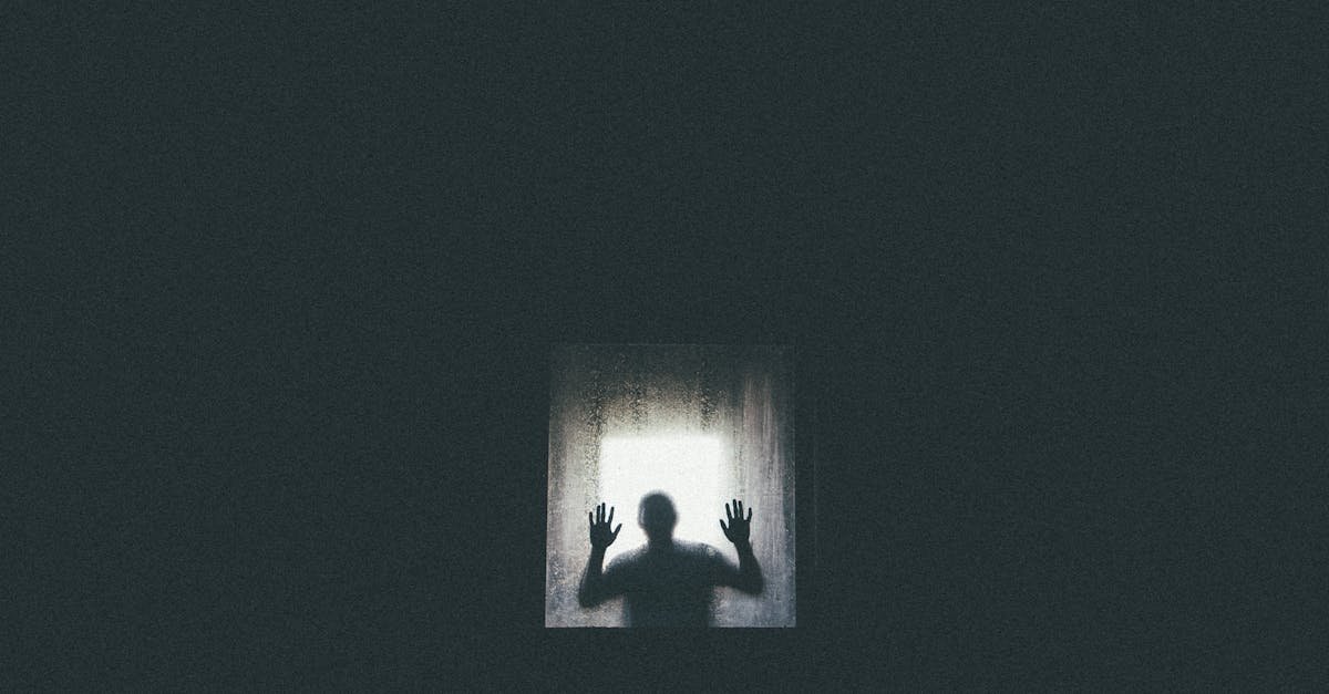 Eerie silhouette of a person against a window, conveying themes of isolation and entrapment.