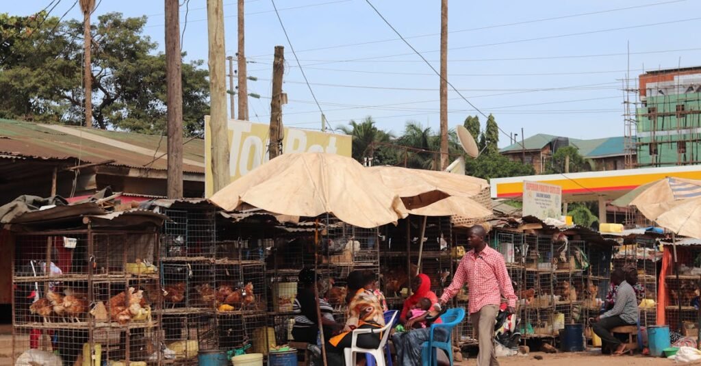 Vibrant outdoor market with chicken stalls, vendors, and colorful atmosphere.
