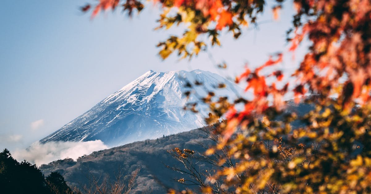 A serene view of Mount Fuji framed by vibrant autumn foliage under a clear blue sky.
