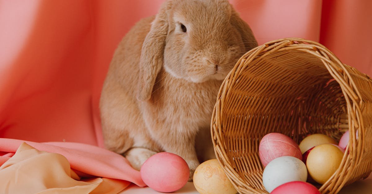 Cute brown bunny with colorful Easter eggs in a basket on a pastel backdrop, perfect for holiday themes.