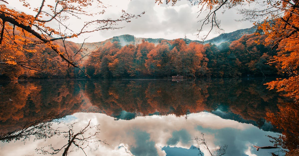Serene autumn landscape with trees reflecting on lake in Bolu, Turkey.