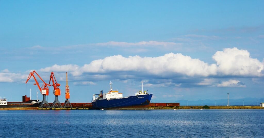 View of a cargo ship and cranes at Samsun port, Türkiye, depicting industrial shipping activities.
