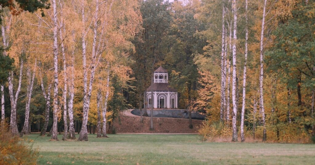 Charming autumn landscape with a rustic gazebo surrounded by colorful foliage in Zatonie, Poland.