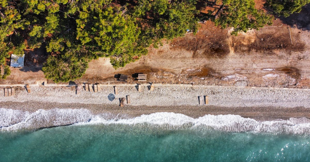 Stunning aerial shot of a serene beach and vibrant forest in Aydın, Turkey.