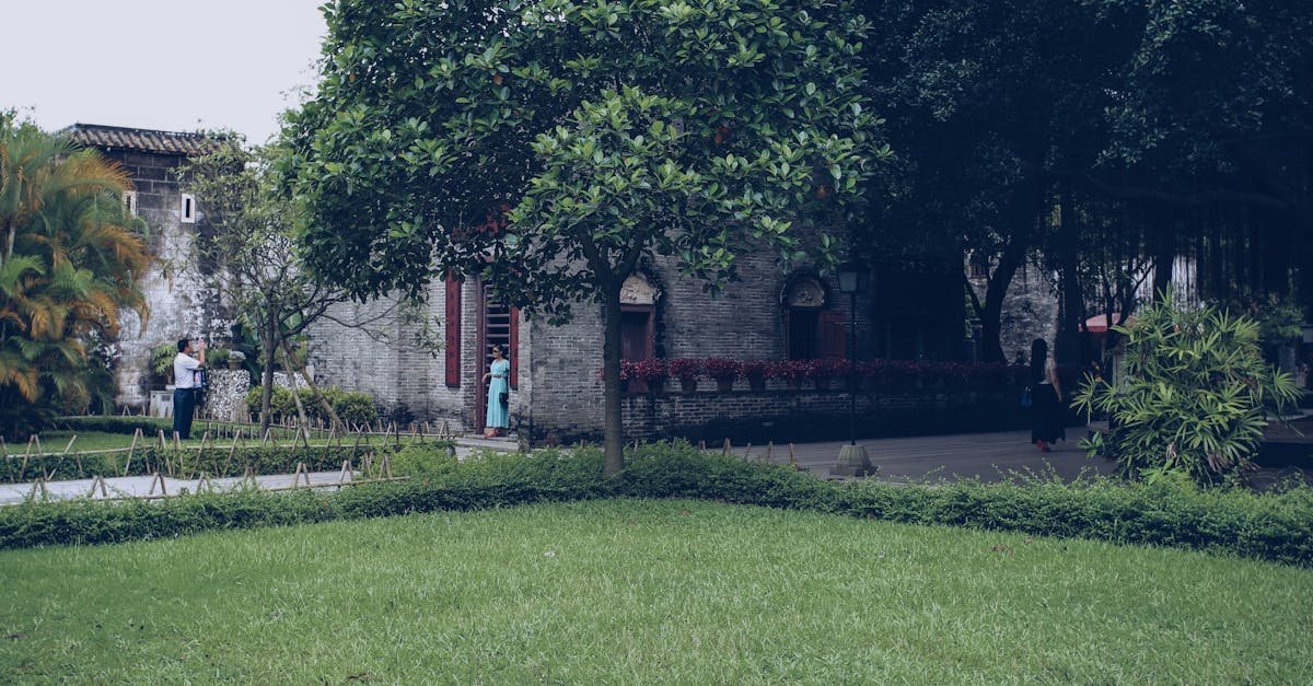 Serene garden landscape featuring greenery and traditional architecture.