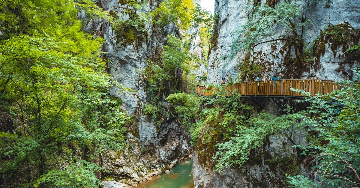 Discover the breathtaking beauty of a lush canyon with a wooden walkway in Kastamonu, Türkiye.