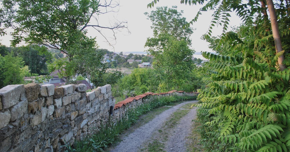 A peaceful dirt path in a rural village landscape bordered by lush greenery and stone wall.