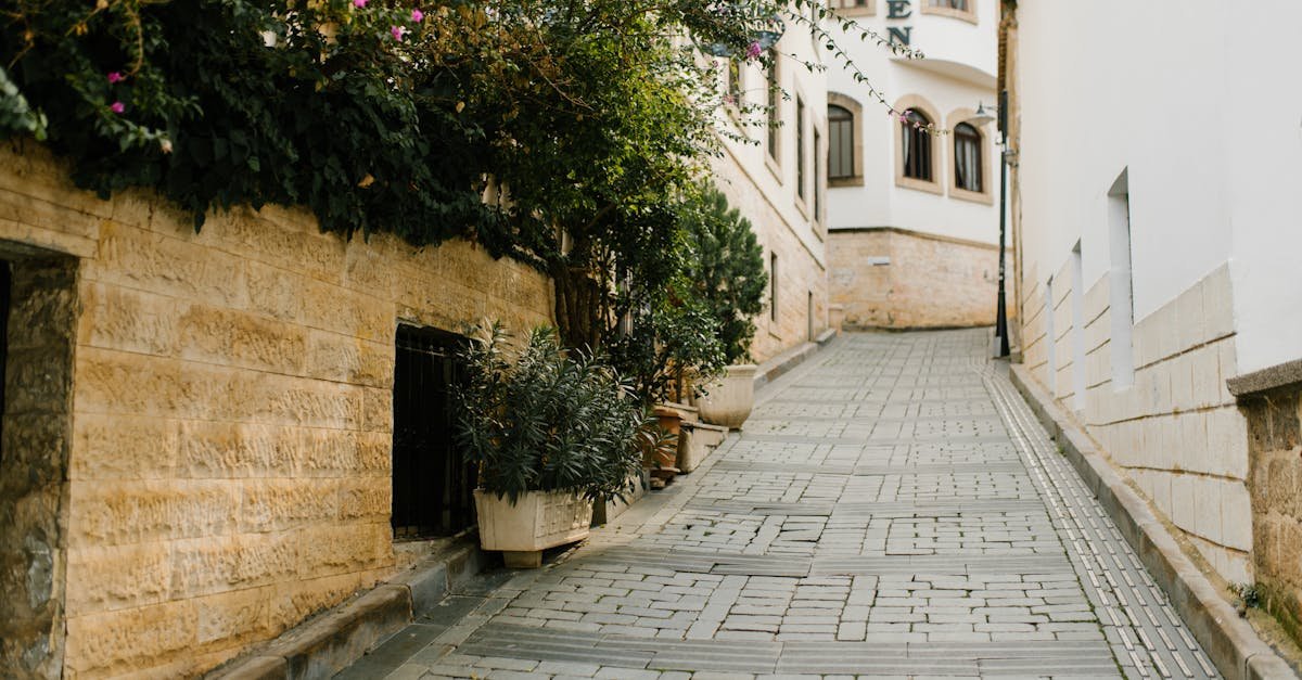 Empty narrow paved street leading to aged residential buildings and decorated with lush green potted plants