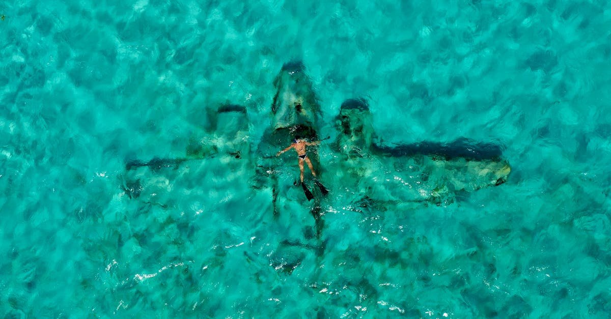 Snorkeler explores a submerged airplane wreck in clear turquoise waters from above.