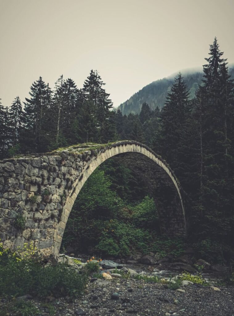Stone arch bridge surrounded by fog and lush greenery in Turkey's misty mountains.