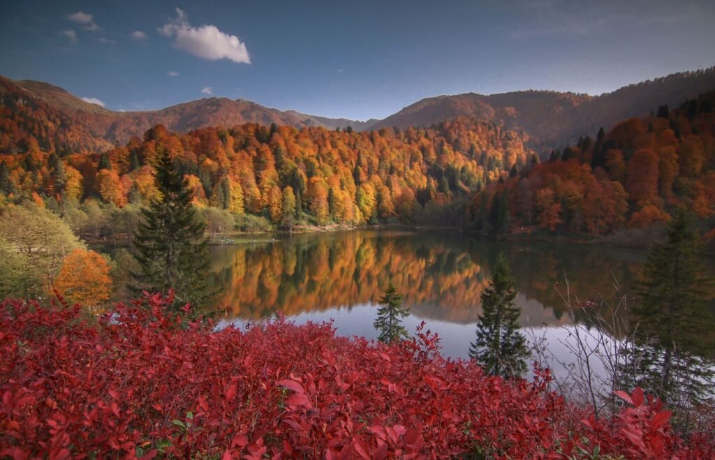 Stunning autumn landscape of Borçka, Artvin with colorful foliage reflecting in a serene lake.