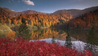 Stunning autumn landscape of Borçka, Artvin with colorful foliage reflecting in a serene lake.