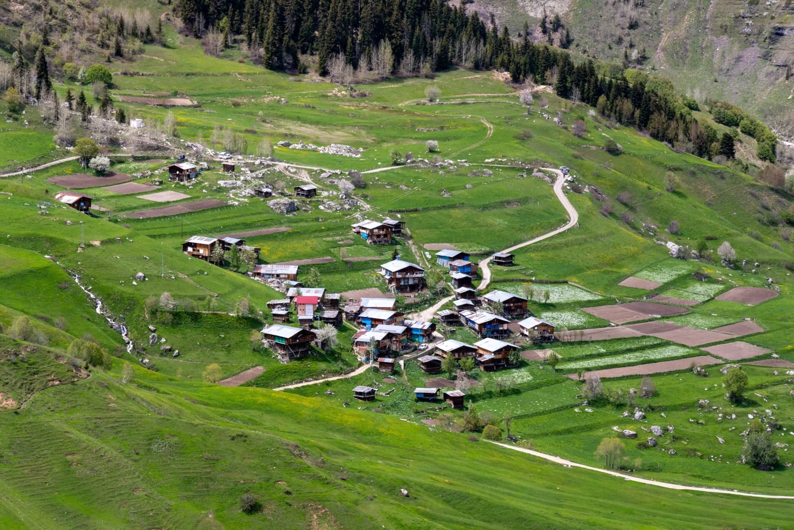Charming rural village in Artvin, Türkiye, captured from above, showcasing lush landscapes and rustic homes.