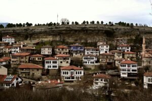 Karabük’te Dut toplarken kalp krizi – bahçede ölü bulundu