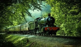 black and red train passing through forest