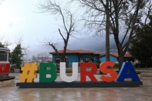 Bursa Otoyolunda Emniyet Şeridindeki Araçlara Çarpan Sürücü Öldü