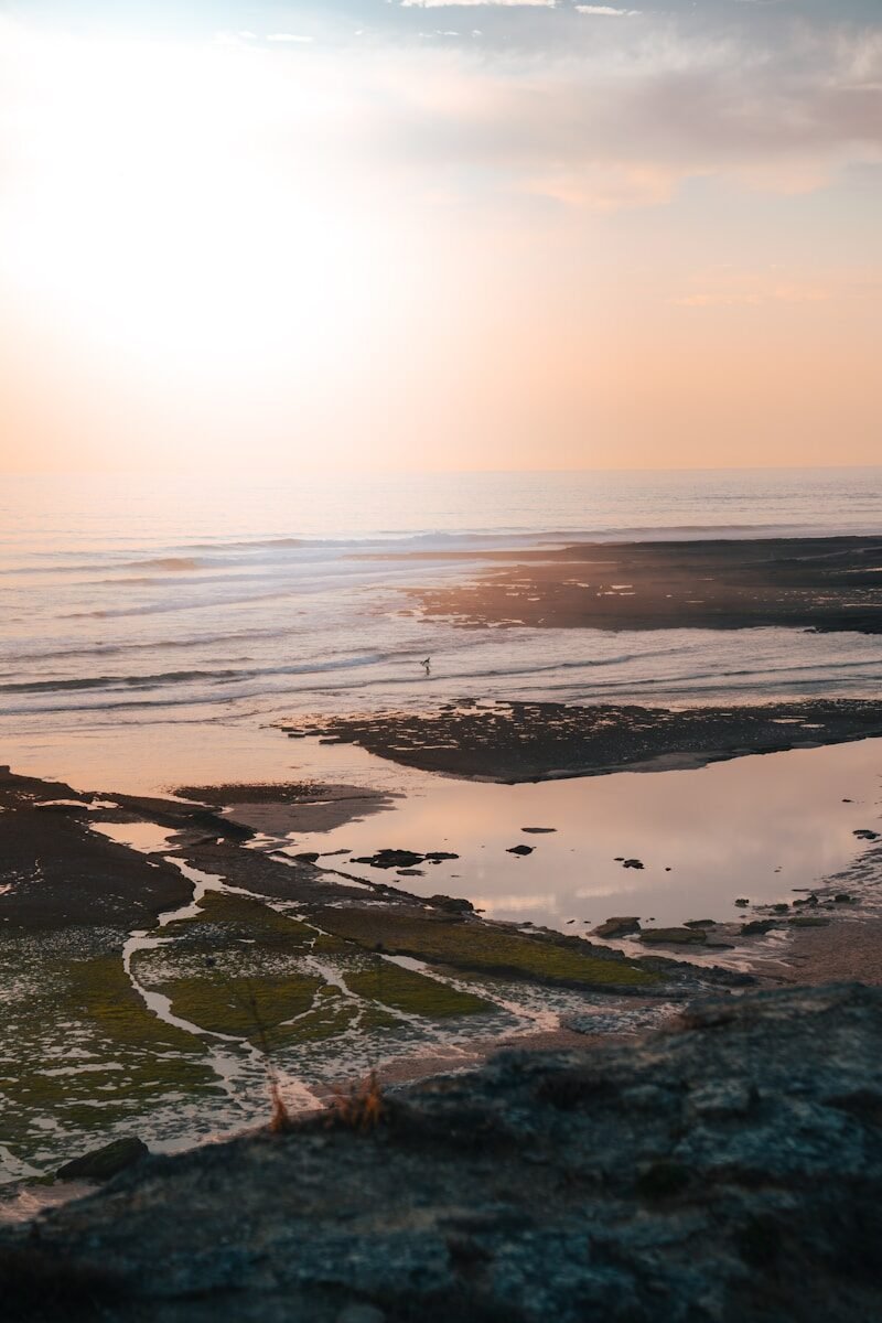 Golden sunset illuminates a rocky beach with exposed tide pools.