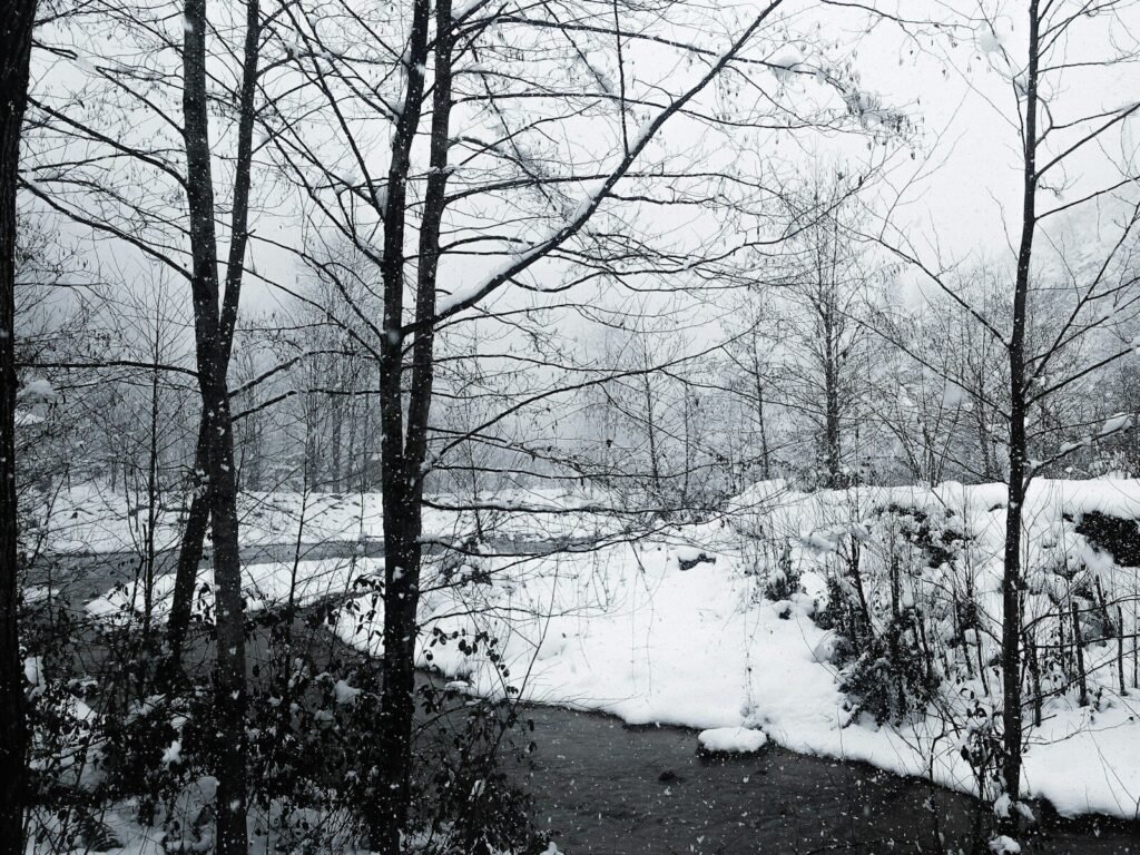 a stream running through a snow covered forest