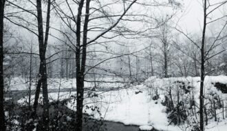 a stream running through a snow covered forest