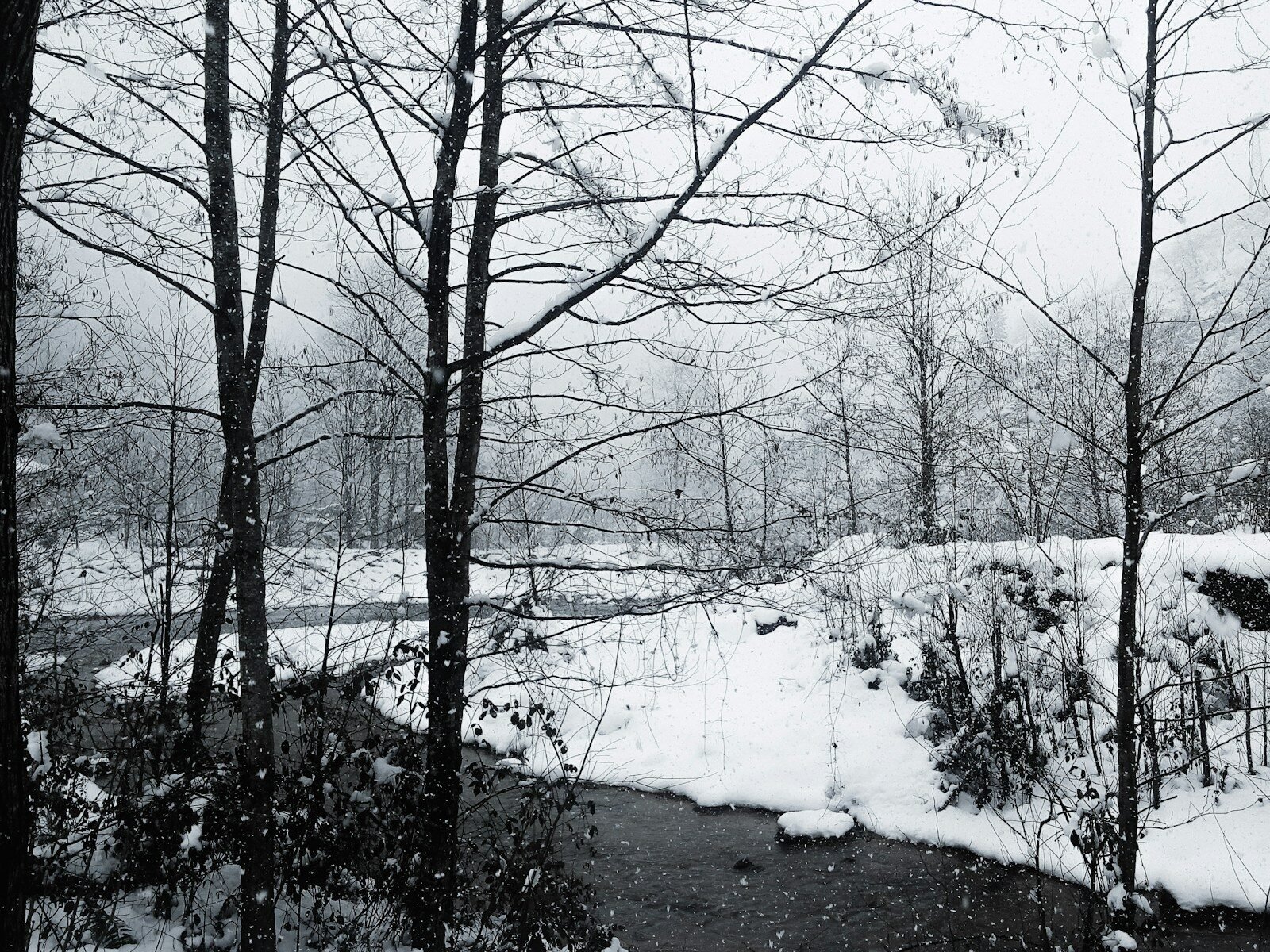 a stream running through a snow covered forest