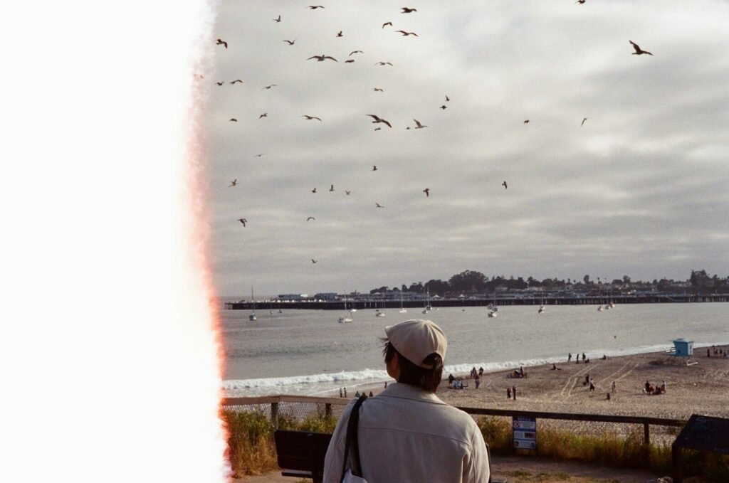 A person watches birds flying over a beach and ocean.
