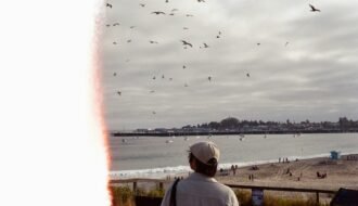 A person watches birds flying over a beach and ocean.