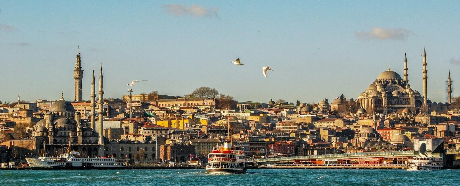 city buildings near body of water during daytime