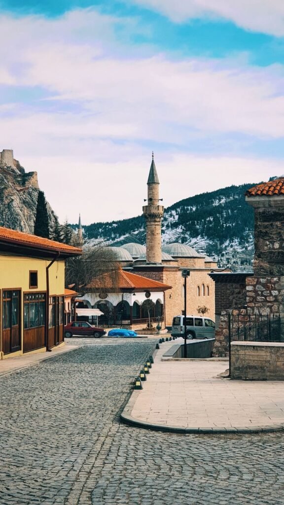Charming street view in Tokat, Türkiye featuring a historic mosque and scenic mountain backdrop.