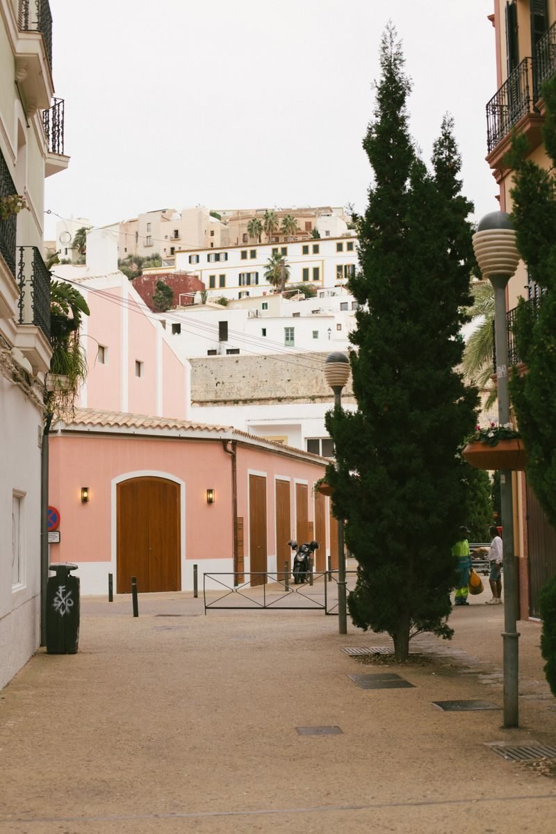 Explore a picturesque street in Ibiza's historic district with vibrant buildings and lush greenery.