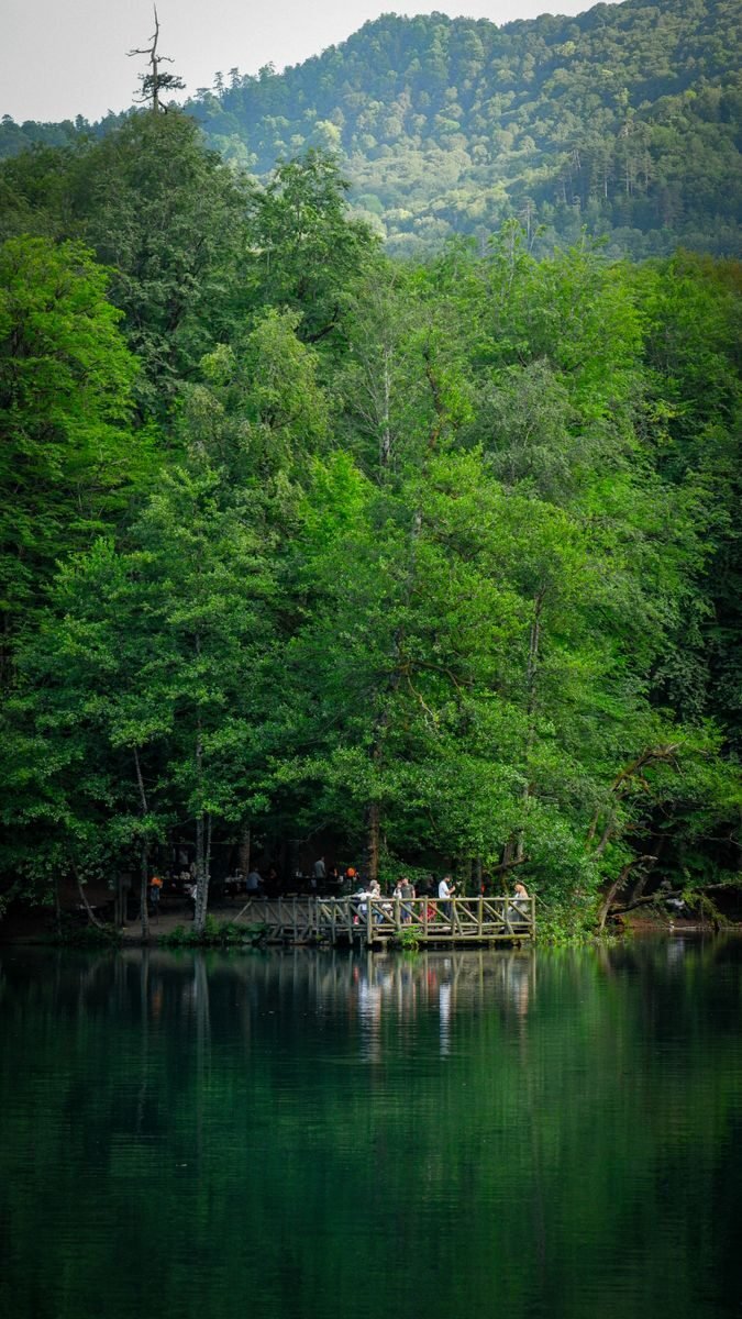 Peaceful forest scenery with a lake in Bolu, Türkiye, perfect for relaxation.