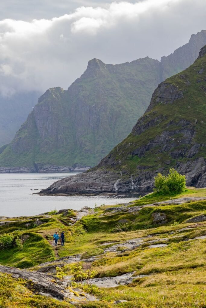 Beautiful landscape view in Lofoten, Norway with lush greenery and mountains.