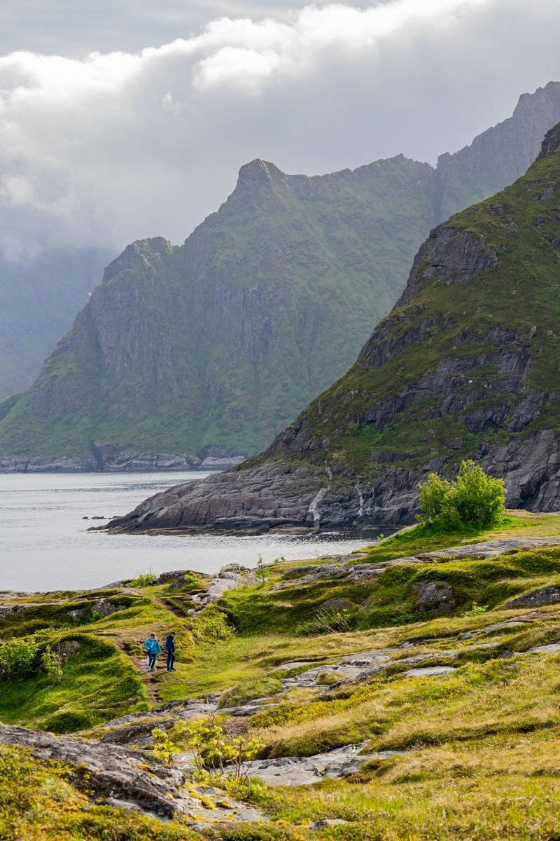 Beautiful landscape view in Lofoten, Norway with lush greenery and mountains.