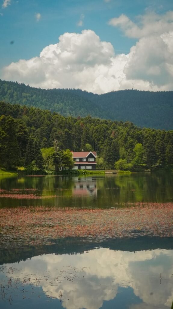 Beautiful lake house surrounded by lush forests and mountains in Bolu, Turkey.
